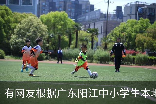 有网友根据广东阳江中小学生本地话交流1%，预测20年阳江话消亡