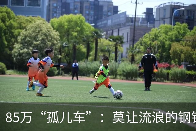85万“孤儿车”：莫让流浪的钢铁，成为“中国制造”的伤疤